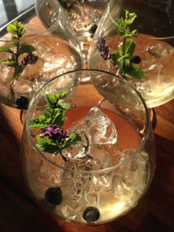 The classic G&T made with woodhill Gin