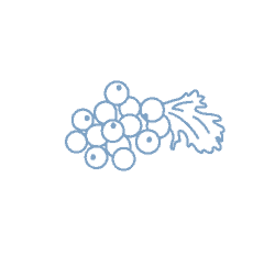 Coriander seed