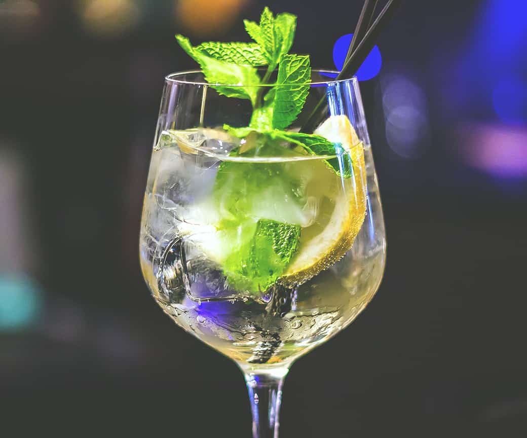 woodhill Gin og Tonic